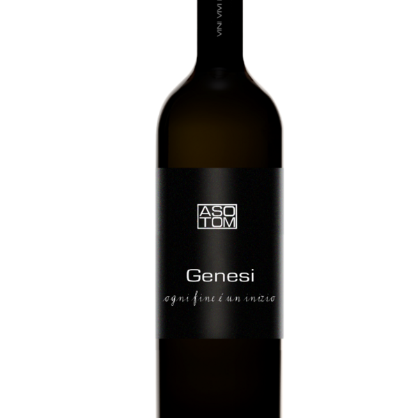 plp_product_/wine/asotom-genesi-malvasia-nera-2019