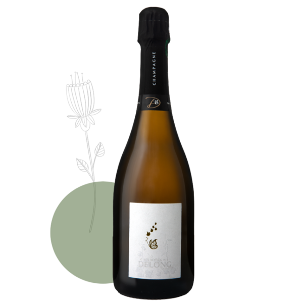 plp_product_/wine/champagne-marlene-delong-sans-filtres-2022
