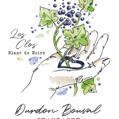 plp_product_/wine/champagne-durdon-bouval-les-clos-2022-non-revendique