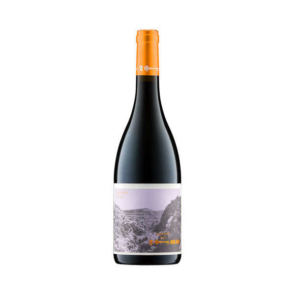 plp_product_/wine/domaine-des-deux-cles-domaine-des-deux-cles-corbieres-rouge-2023