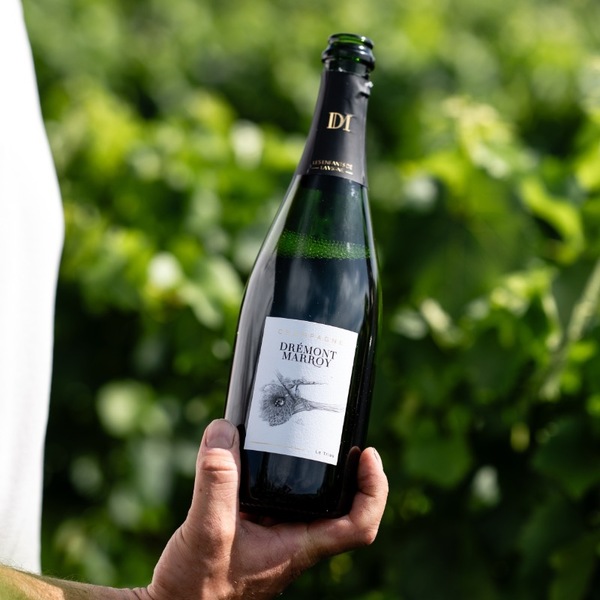 plp_product_/wine/champagne-dremont-marroy-le-triau-2022-white