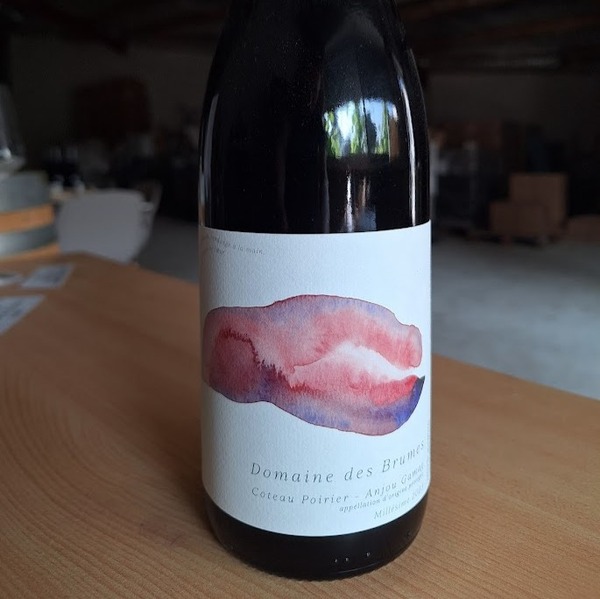 plp_product_/wine/domaine-des-brumes-coteau-poirier-2023