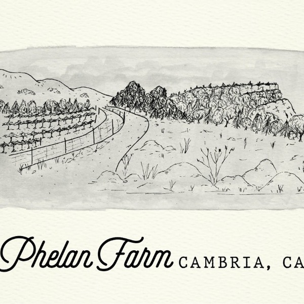 plp_product_/profile/phelan-farm