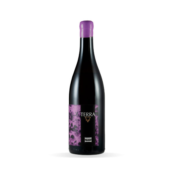 plp_product_/wine/azienda-agricola-macciocca-terra-2025