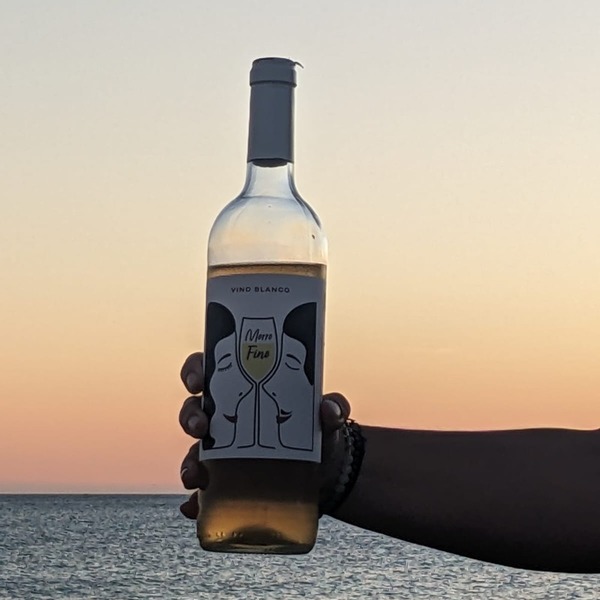 plp_product_/wine/bodegas-vina-aranda-slu-morro-fino-blanco-2024